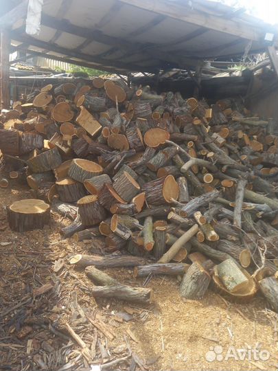 Дрова вяз, финик, тополь, колотые