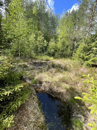 Участок 9,2 сот. (СНТ, ДНП)