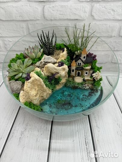 Флорариум с суккулентами