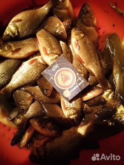 Костюм для рыбалки опт