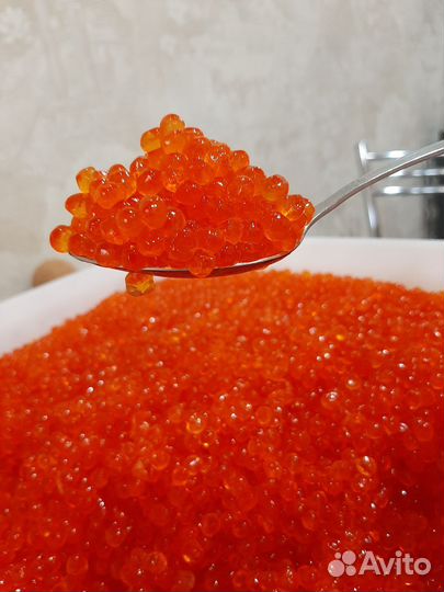 Красная икра