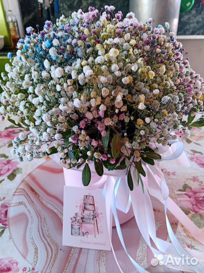 Гипсофила в коробке