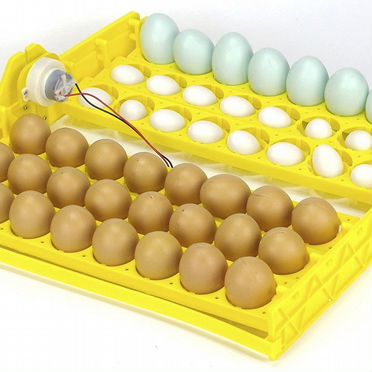 Инкубатор Sititek 48