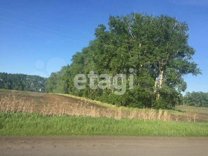 Участок 22,6 га (промназначения)