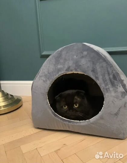 Домик для кошек и собак мелкой породы