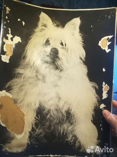 Картина Монро, зимний пейзаж, постер ретро 78 год