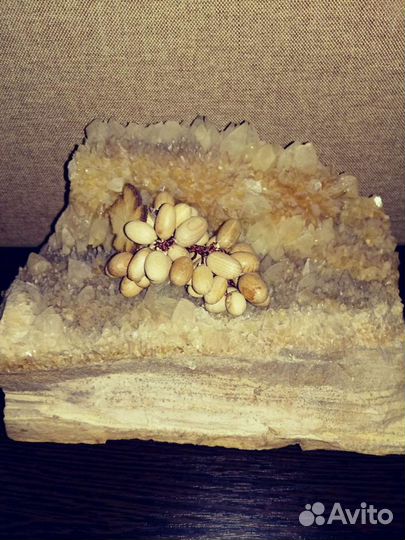 Окоменелое дерево