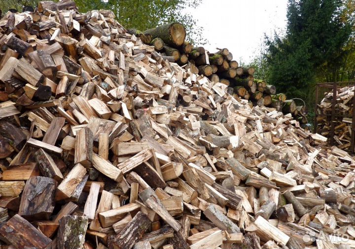 Дрова образцовые