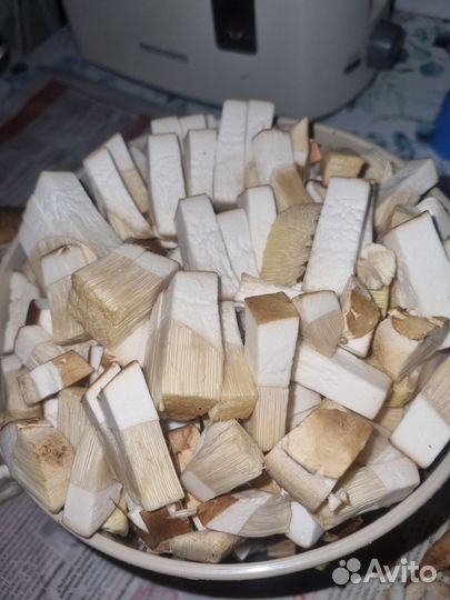 Белые грибы свежие