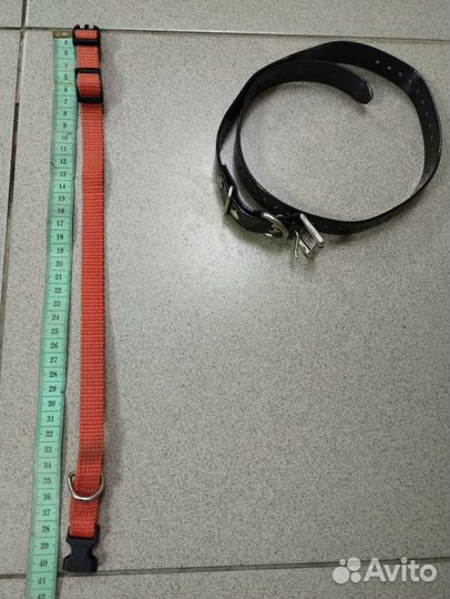 Ошейники разные, поводки