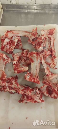 Корм для собак