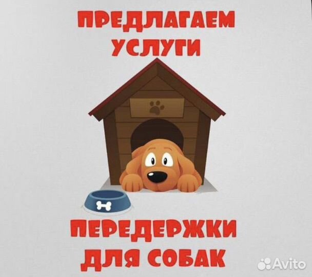 Передержка для собак москва