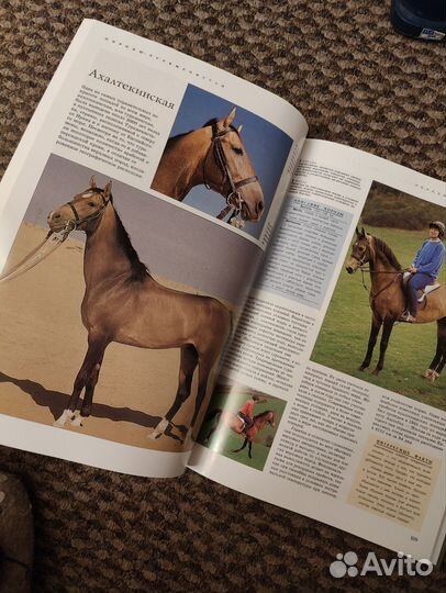Энциклопедия лошади и уход за ними