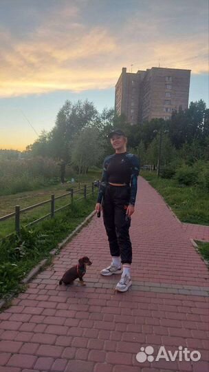 Выгул собак, передержка животных, догситтер