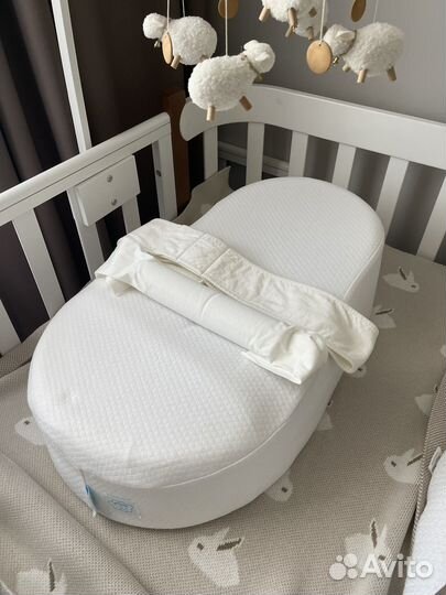 Кокон зевушка