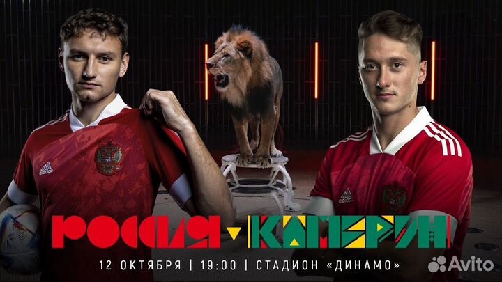 Футбол Россия Камерун