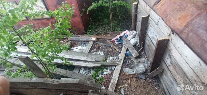 Отдам дрова бесплатно