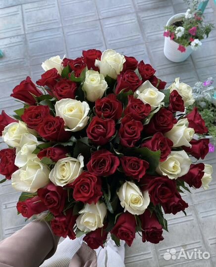 Цветы розы и букеты с доставкой, 51роза