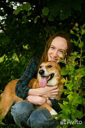 Кинолог - зоопсихолог