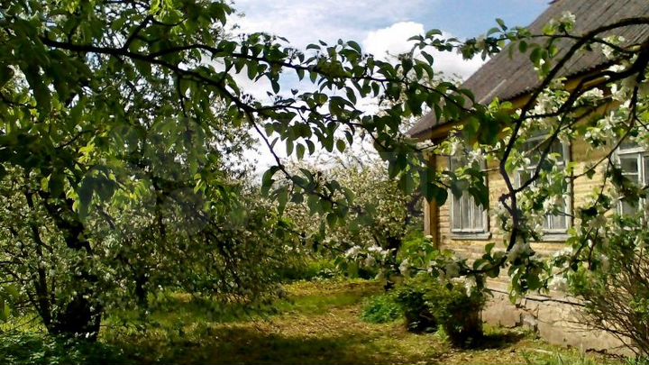 Дом 39 м² на участке 22 сот.