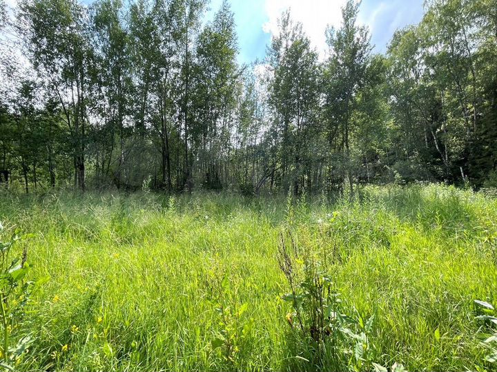 Участок 15 сот. (ИЖС)