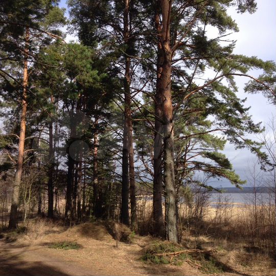 Участок 25 сот. (ИЖС)