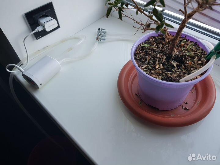 Система автополива комнатных цветов