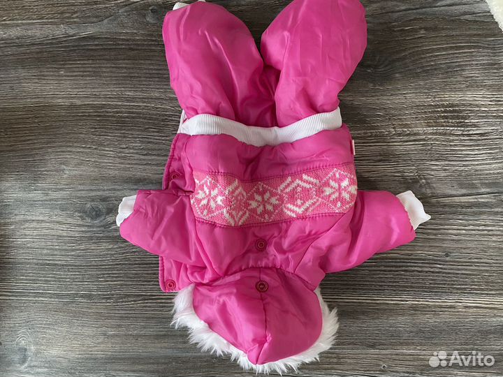 Одежда для собак