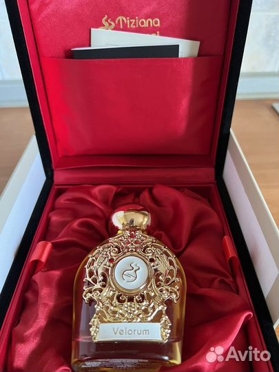 Tiziana terenzi velorum