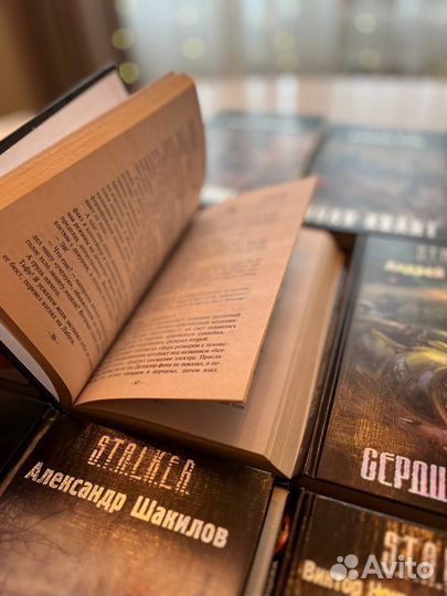 Книги серии Сталкер stalker