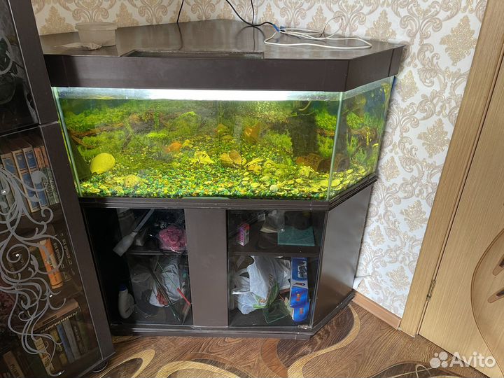 Аквариум с тумбой 250л