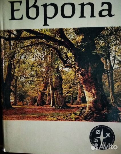 Кай Карри-Линдал 