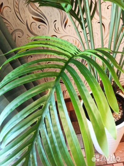 Искусственная пальма