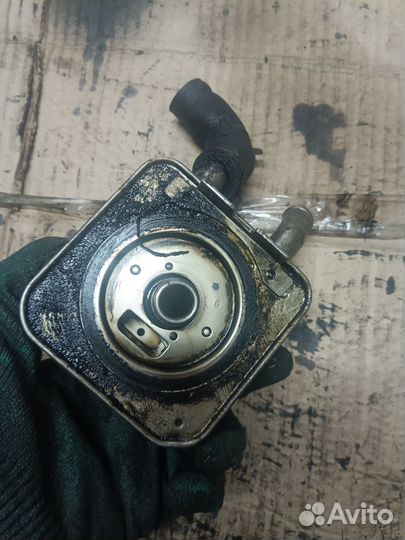 Радиатор масляный 2.2 crdi D4EB Hyundai Kia