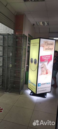 Реклама на динамических конструкциях