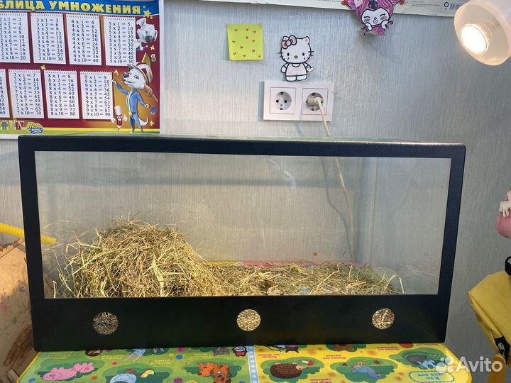 Террариум для сухопутной черепахи