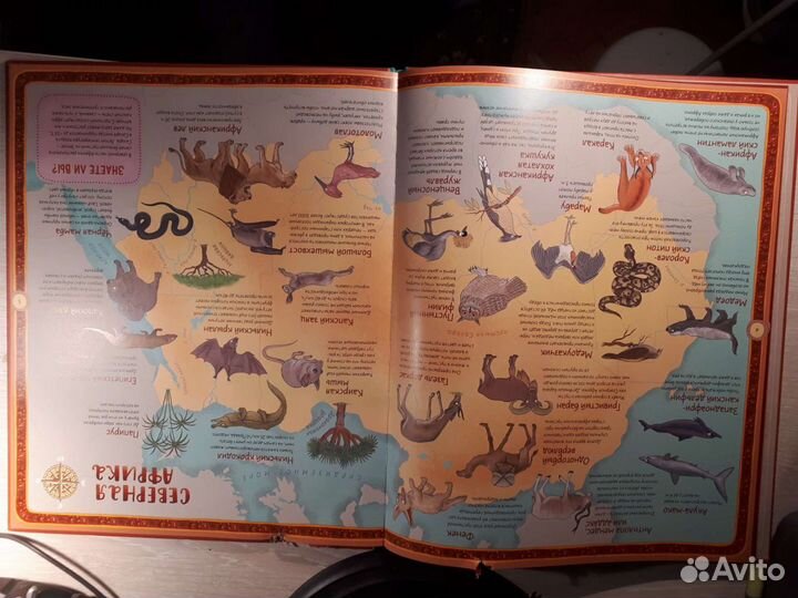 Атлас животных и растений мира