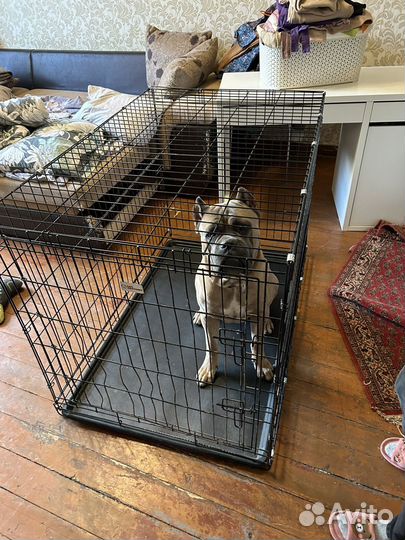 Вольер клетка для средних и крупных соьак