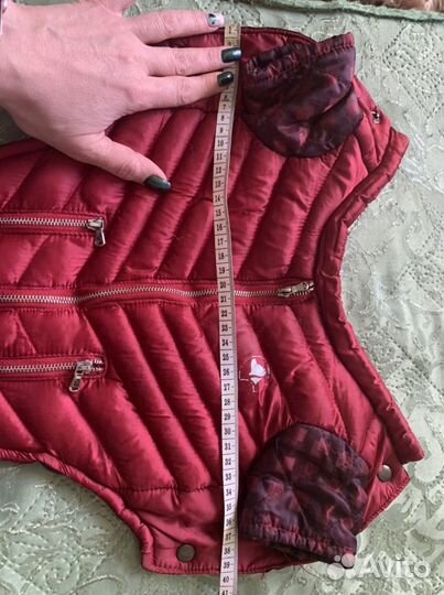 Одежда для собак мелких пород