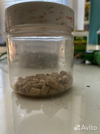 Аквариум для маленьких черепах