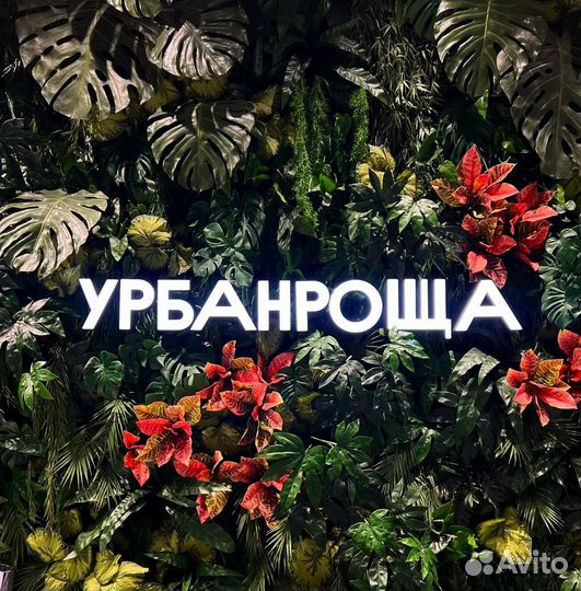 Бровист-визажист