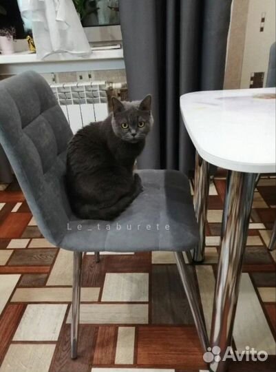 Стулья для кухни Фред