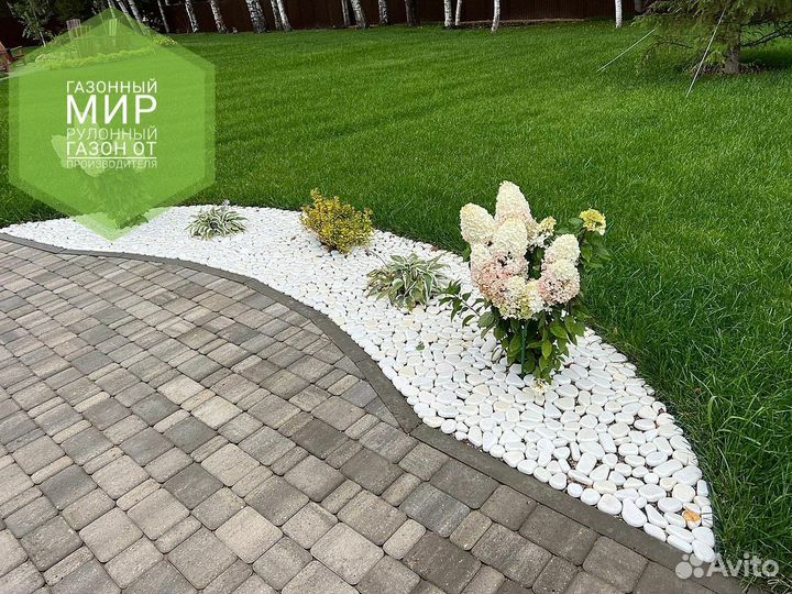 Рулонный газон