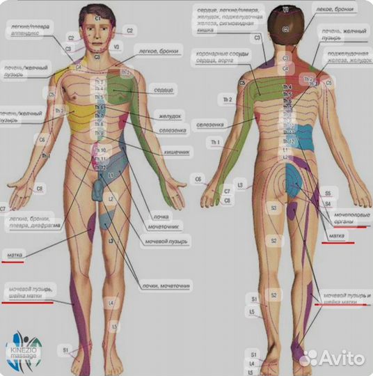 Массаж на дому