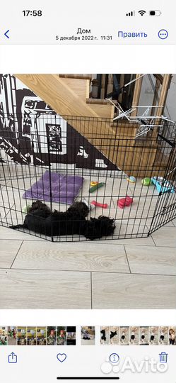 Вольер для щенков в квартиру