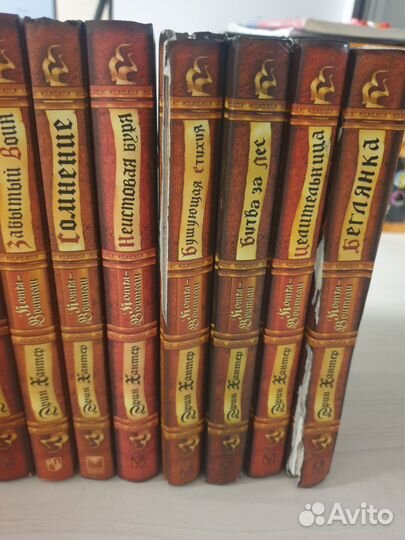 Книги коты воители и сталкер