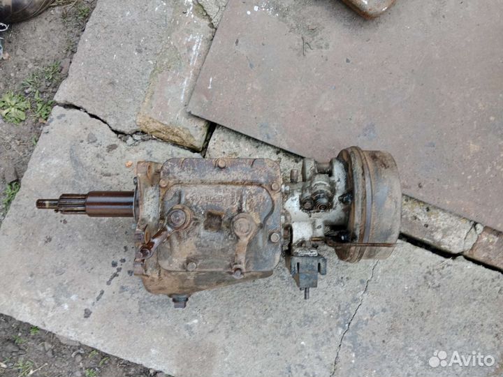 Олень на Волгу 21