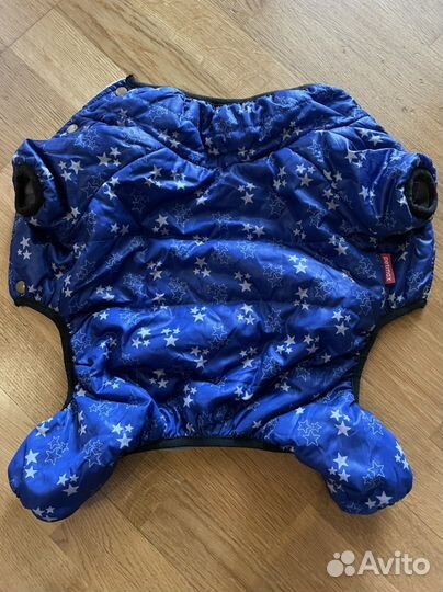 Одежда для маленьких собак