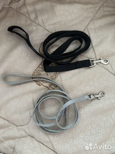 Лоток, поводок