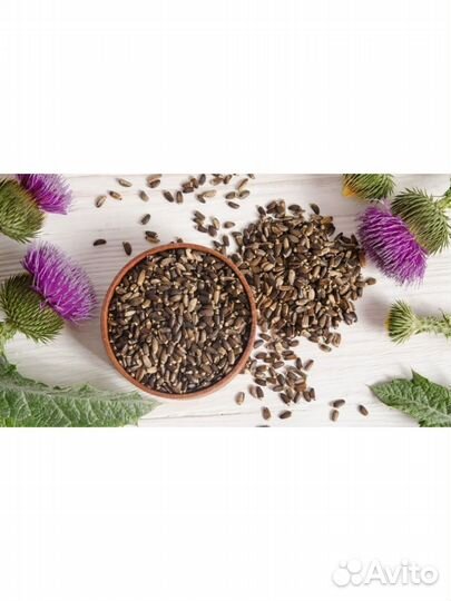 Семена расторопши / расторопша 1 кг